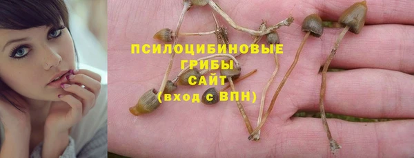 СК Абинск